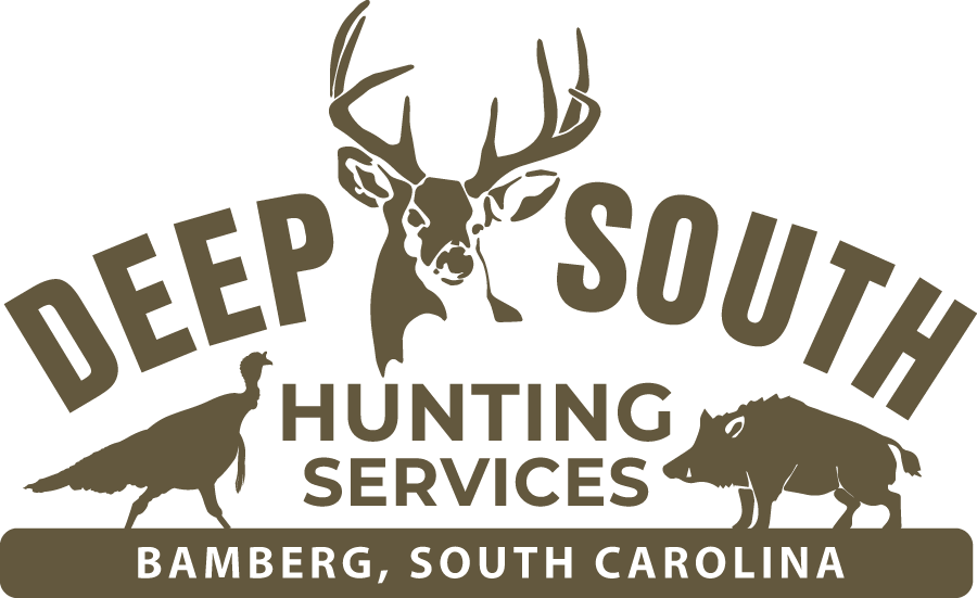 DSHS Main logo DK BROWN