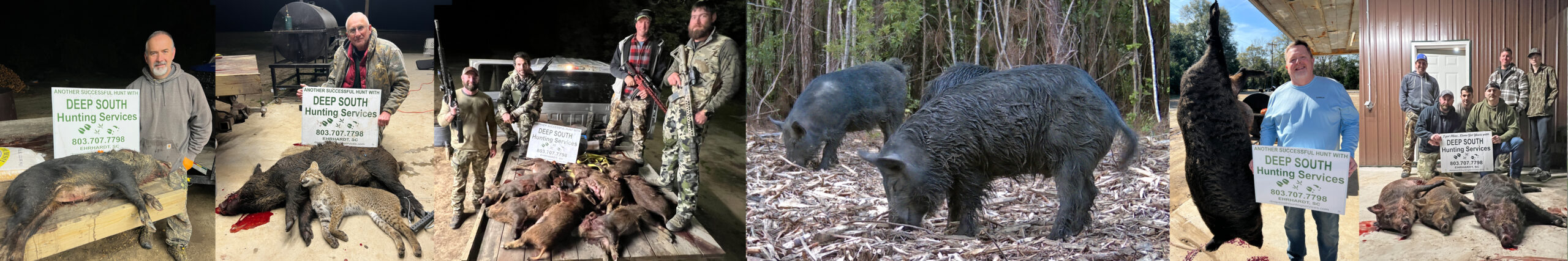 DEEP SOUTH HOG PAGE IMAGE SPREAD HEADER copy