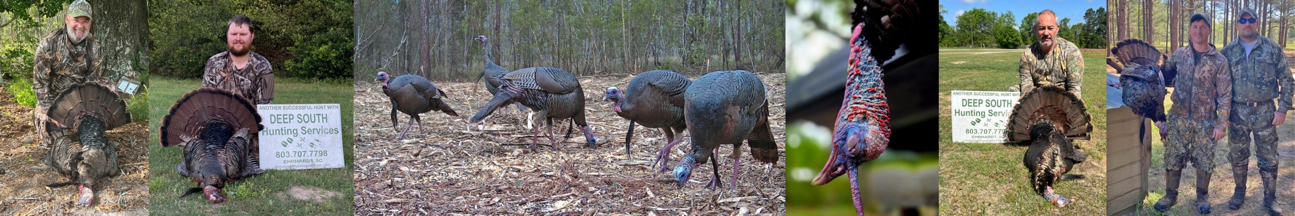 DEEP SOUTH TURKEY PAGE IMAGE SPREAD HEADER copy